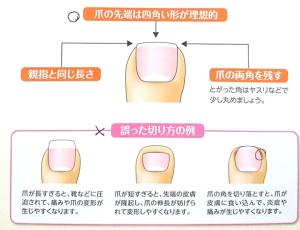 Japanese experts claim that everyone cuts their toenails the wrong way, this is the right way to do it!