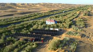 Lack of electricity and water, how did China build thousands of kilometers of highway through the Taklimakan desert?