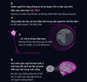 15 unbelievable facts about the brain